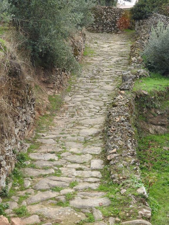 Quinta Do Mineiro-Serra Da Estrela Matanca Dış mekan fotoğraf