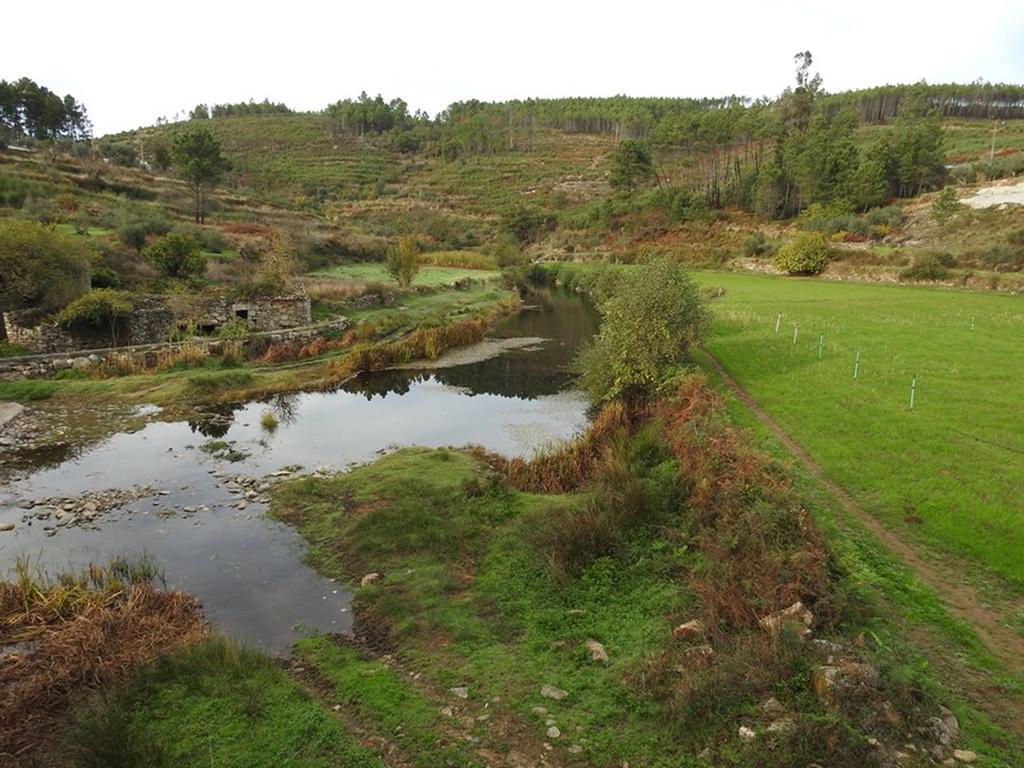 Quinta Do Mineiro-Serra Da Estrela Matanca Dış mekan fotoğraf
