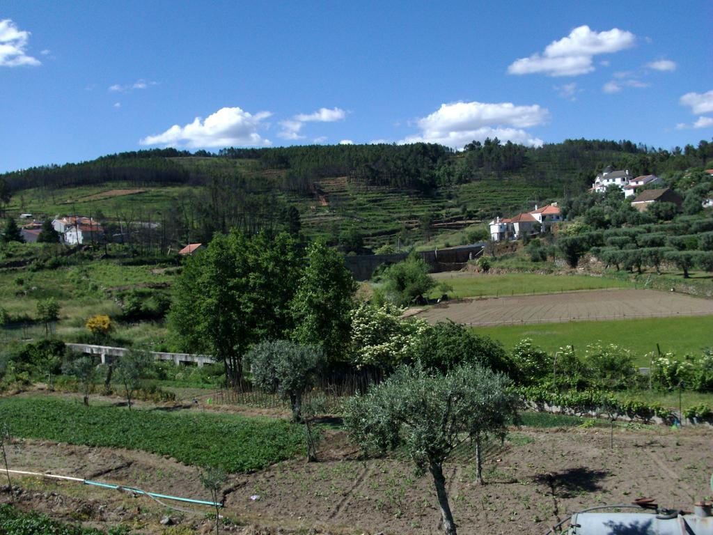 Quinta Do Mineiro-Serra Da Estrela Matanca Dış mekan fotoğraf